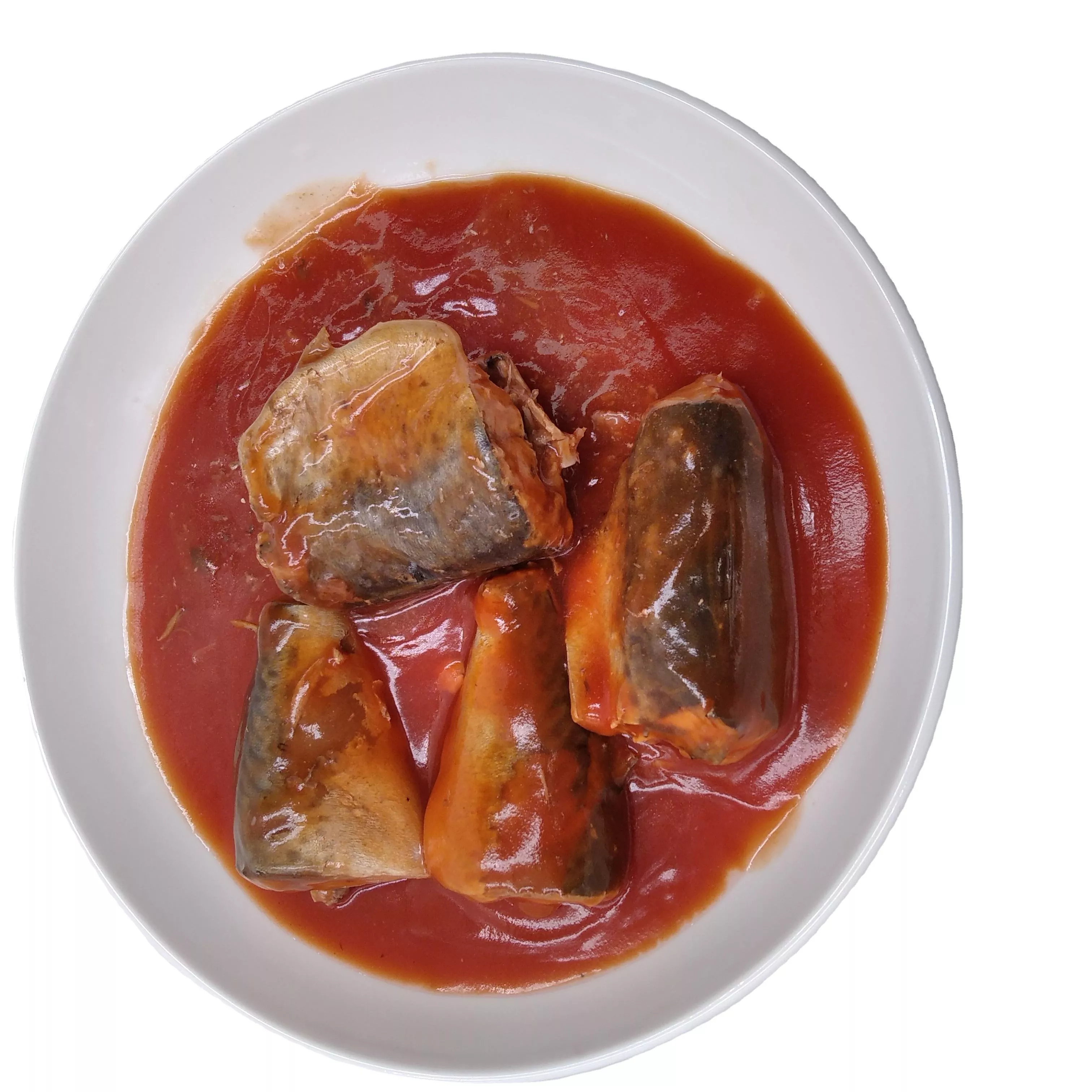 425g Canned Mackerel In Tomato Sauce maquereau caballa Makrele uskumru cavala marine fish seer fish,